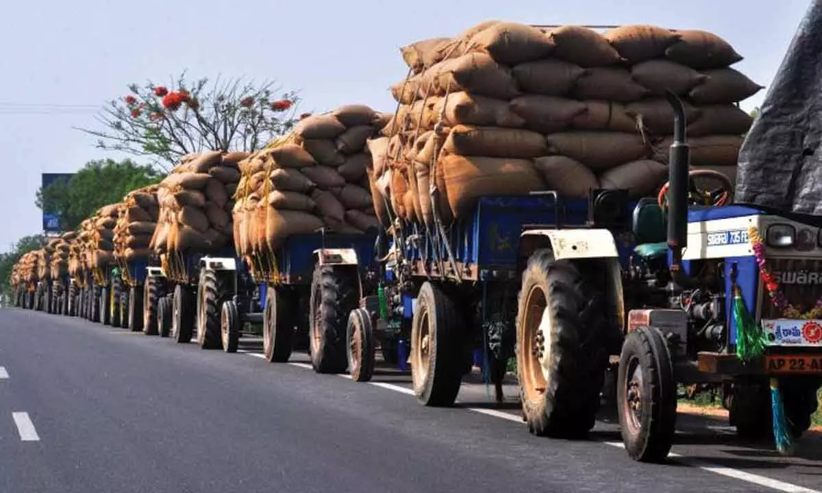 Nalgonda: ‘Trucks shortage issue grave at IKP centres’
