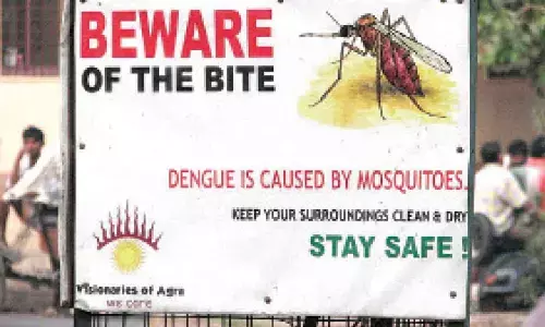 Computational analysis shows how dengue virus evolved in India