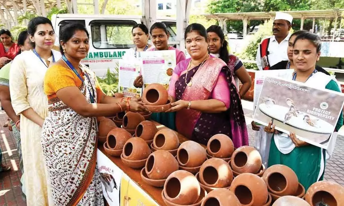 Visakhapatnam: Mayor Golagani Hari Venkata Kumari stresses on saving sparrows from extinction