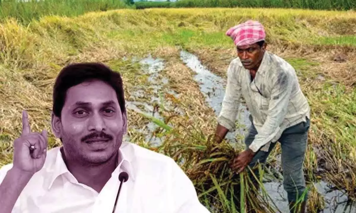 Unguturu: N Chandrababu Naidu lambasts Y S Jagan Mohan Reddy over failure to visit rain-affected farmers