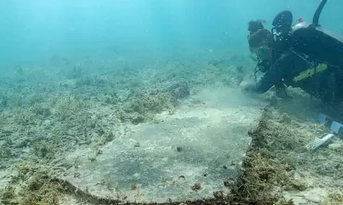 Divers Found Underwater Hospital And Cemetery In Florida Keys