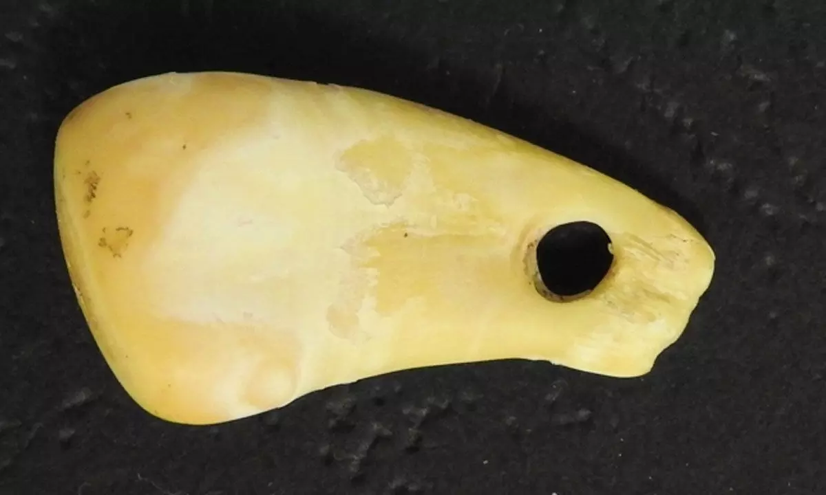 DNA Of An Ancient Woman Found In A 20,000-Year-Old Necklace Pendant