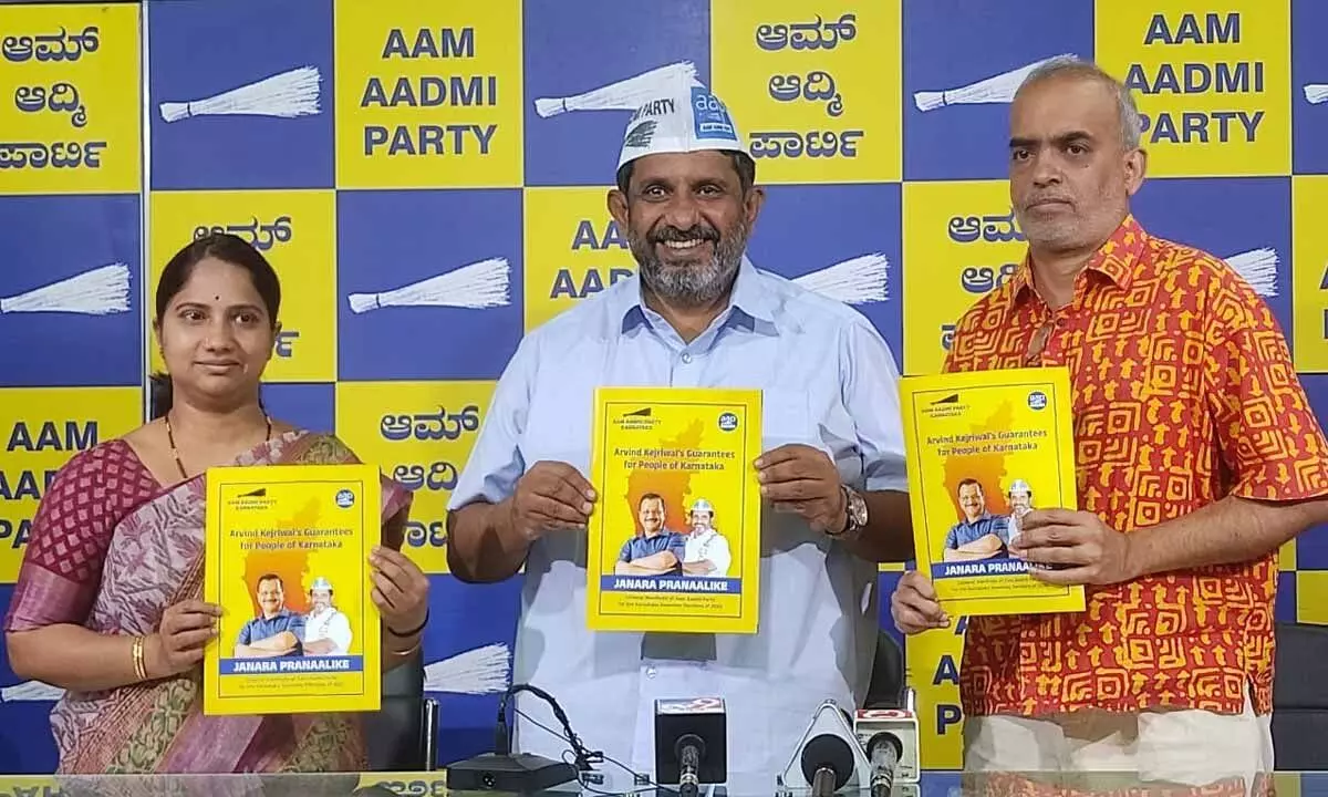 Aam Aadmi Party button is your future button on EVM machine - Prithvi Reddy