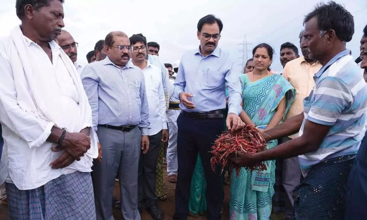 Guntur: Government assures to help rain-affected farmers
