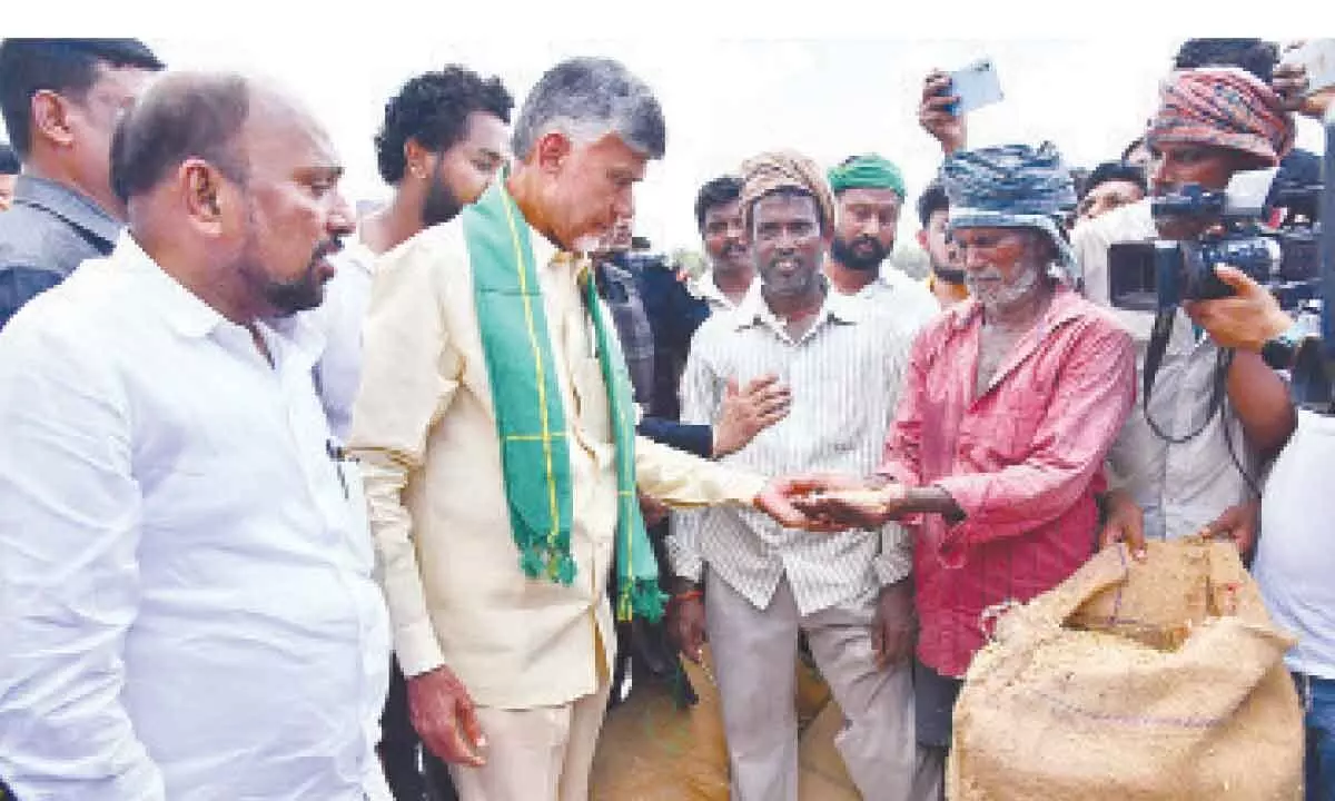 Rajamahendravaram: Will stay put till last grain is bought says N Chandrababu Naidu