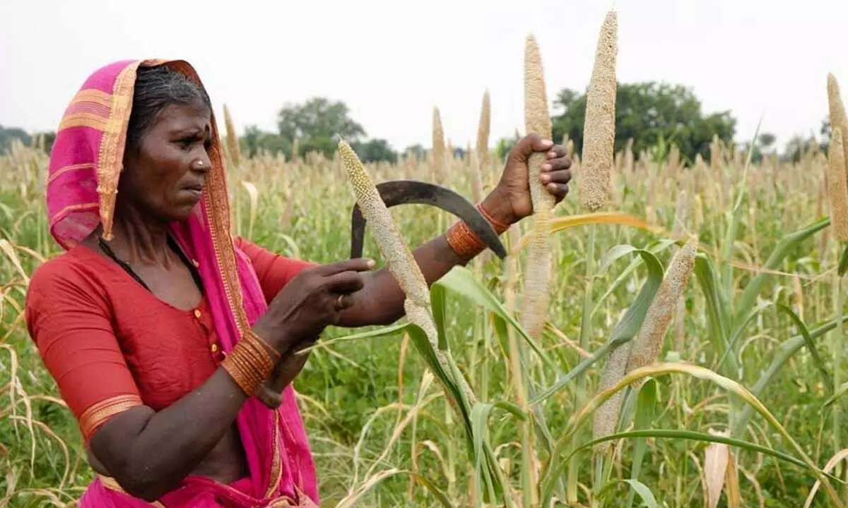 CM KCR announces big relief to jowar farmers