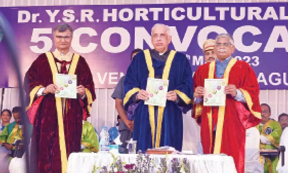 Venkataramannagudem: YSR Horticultural University celebrates 5th convocation