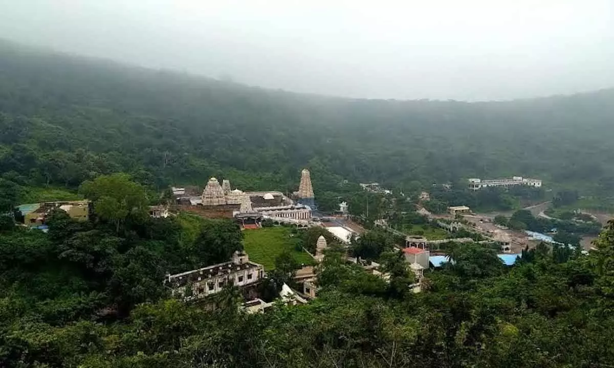 Visakhapatnam: Simhachalam reaches out to devotees in various places