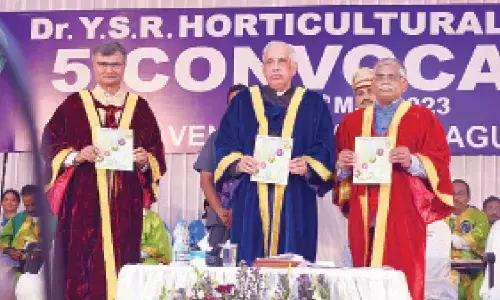 Venkataramannagudem: YSR Horticultural University celebrates 5th convocation