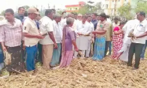 Guntur: Extend helping hand to rain-hit farmers says Jana Sena Party Chairman Nadendla Manohar