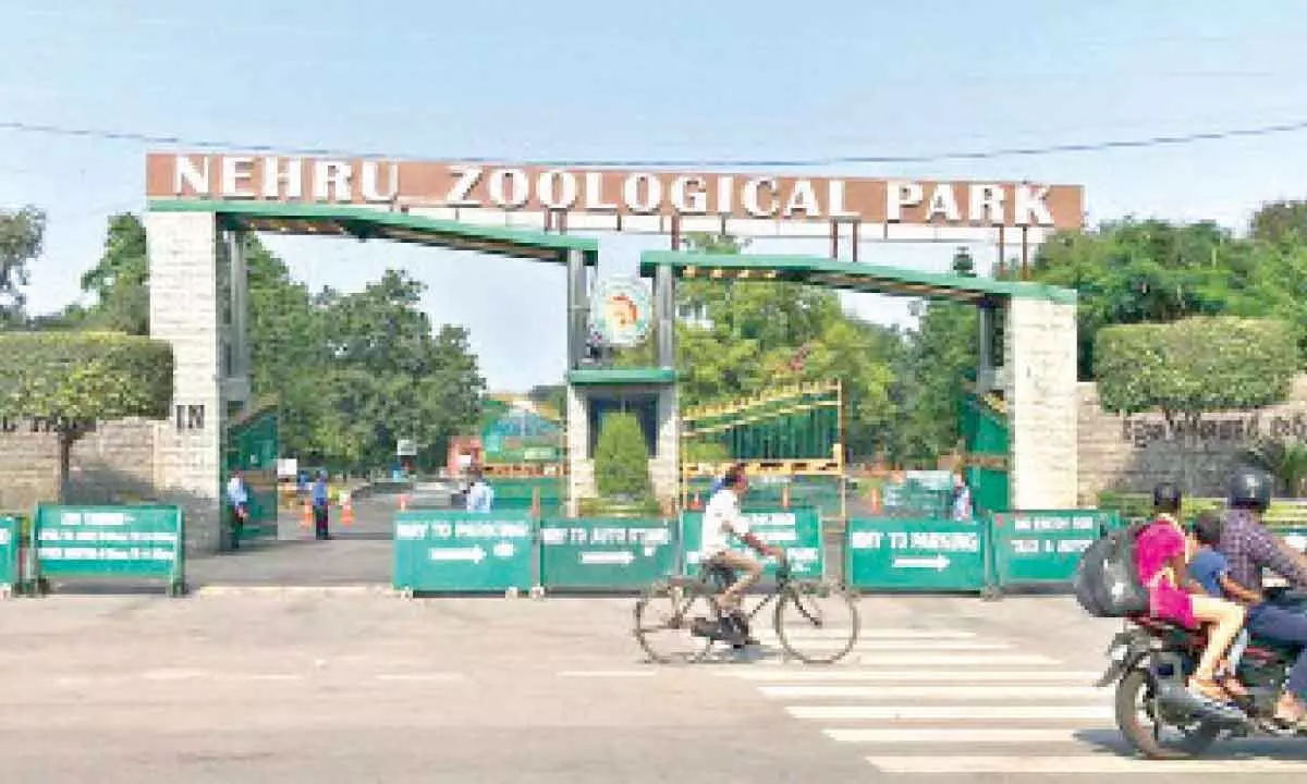 Hyderabad: Nehru Zoo park promotes sustainable lifestyles