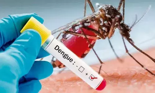 Dengue fever