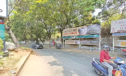 Hyderabad: Pugs can’t breathe, warns PETA’s campaign