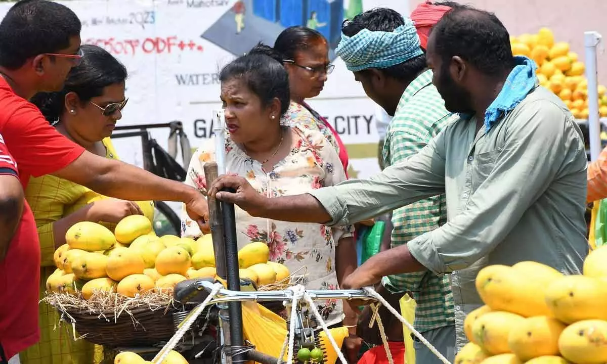 People purchasing mangos  at  MG road in Vijayawada Photos: Ch Venkata Mastan