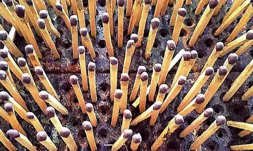 International Museum Day 2023: Matchstick Marvel Museum