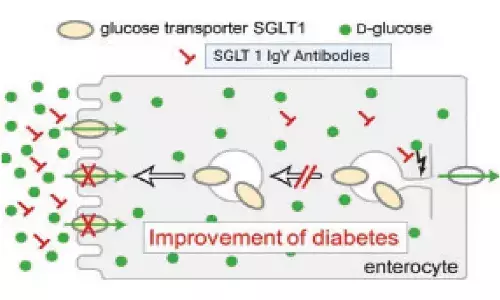 Hyderabad: University of Hyderabad develops potential new treatment option for diabetes