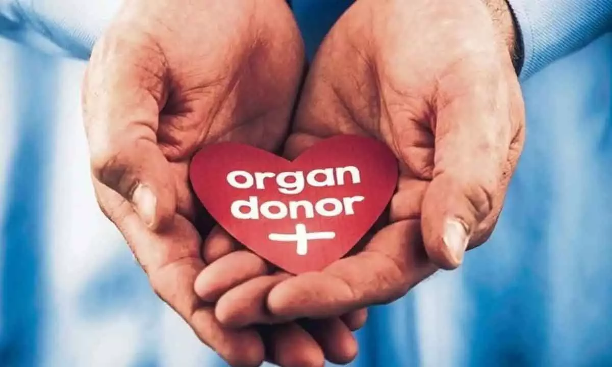 Make organ donations mandatory
