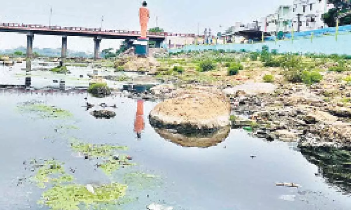 Srikakulam: Nagavali river turns hub of pollutants