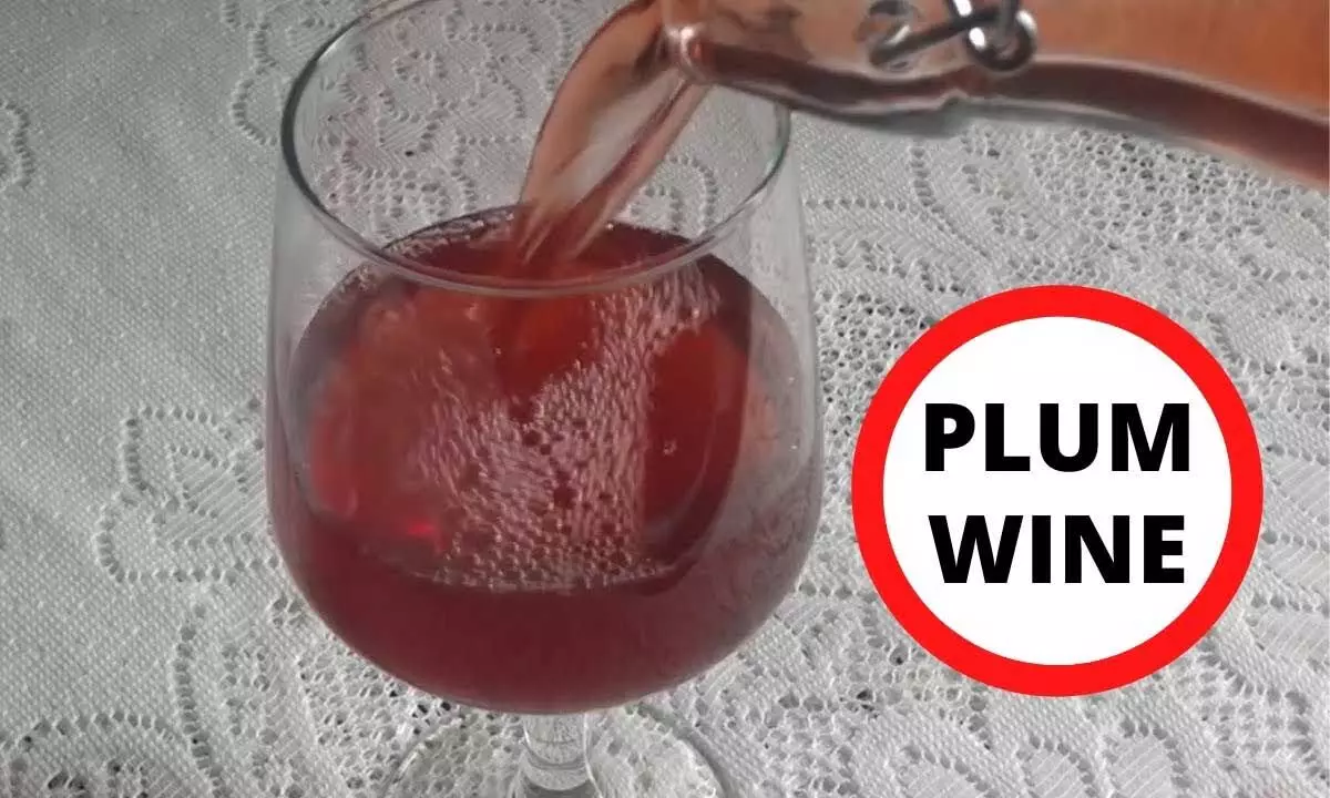 Learn how to prepare Plum Wine at home