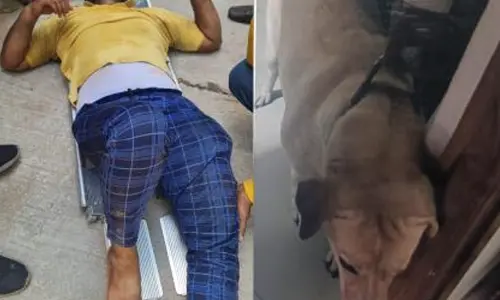 Another delivery man jumps off from building to escape from dog attack