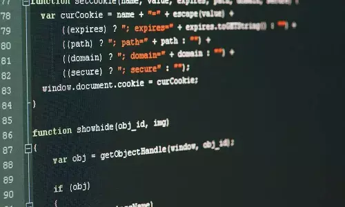 First version of Java released