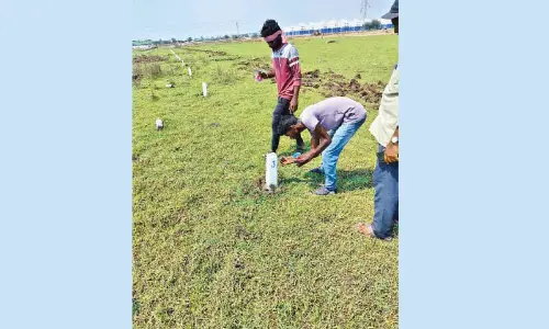 Guntur: Arrangements underway to distribute plots