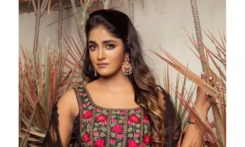 Dimple Hayathi Biography: Age, Career, Family, Networth, Movies, Controversies