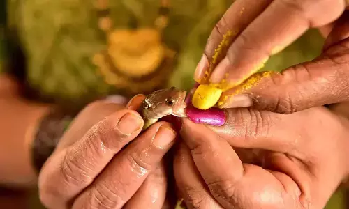 Hyderabad: Fish prasadam to be administered on June 9