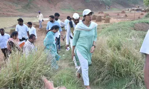 Collector S Nagalakshmi visiting MGNREGA works