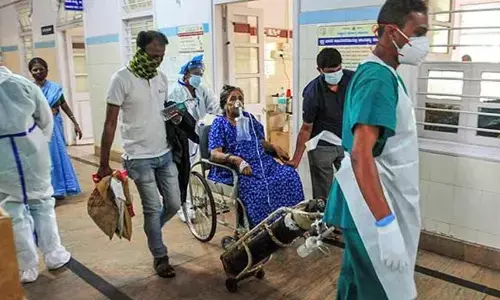 Doctor fees expensive, people seeking Google Doctor!