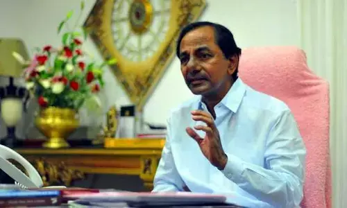 Telangana govt. announces a special scheme to artisans