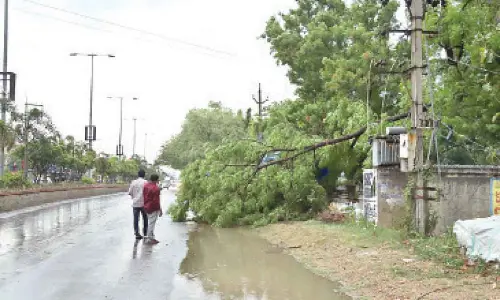 Rains wreak havoc in Tirupati