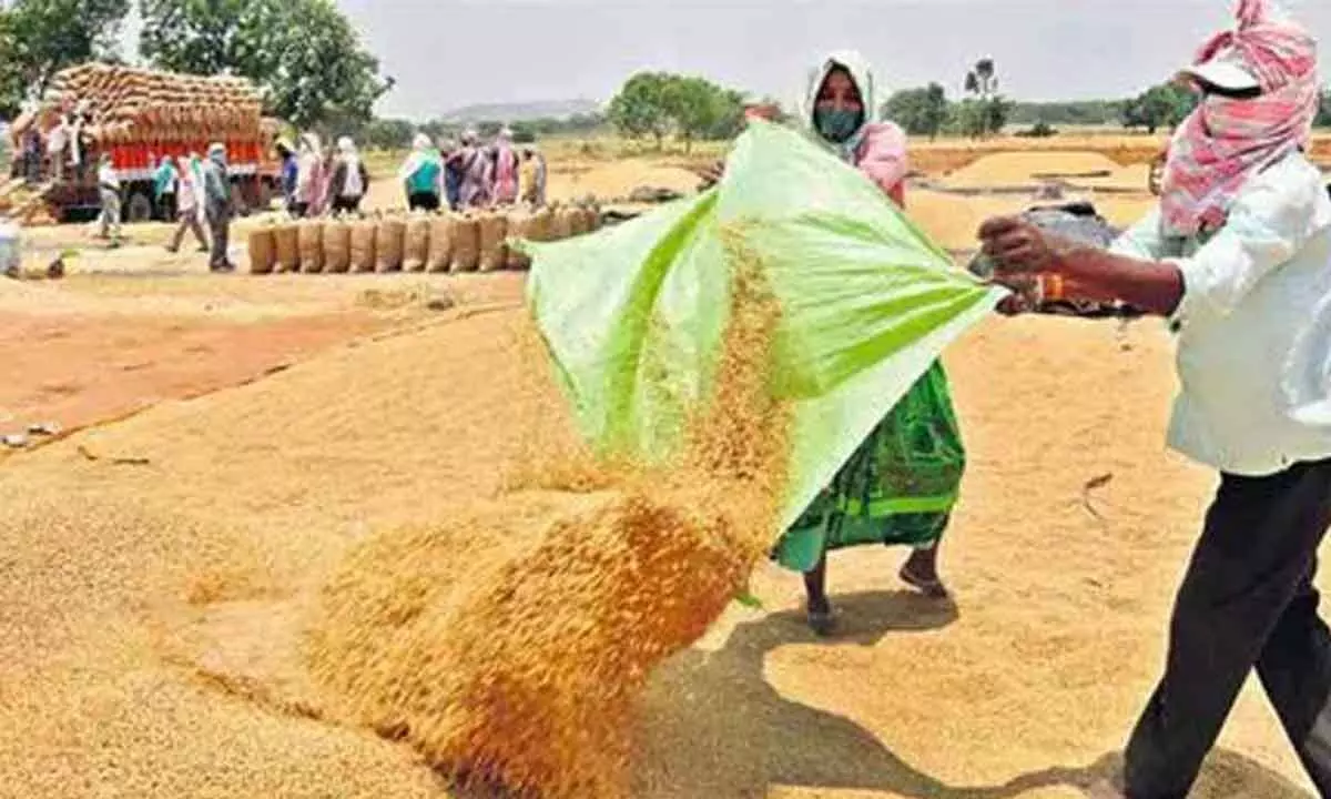 6 lakh MTs grain procured in Nalgonda said Millers body