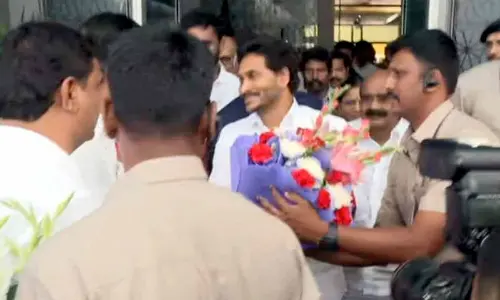 AP CM Jagan Meets Union Finance Minister Seetharaman