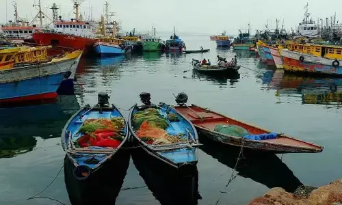 Visakhapatnam: Andhra Pradesh aims to up its share in marine exports by 10%