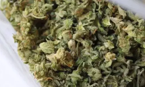 For representational purpose