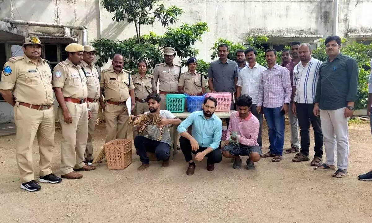 6 held in Hyderabad for exhibiting exotic animals at pub
