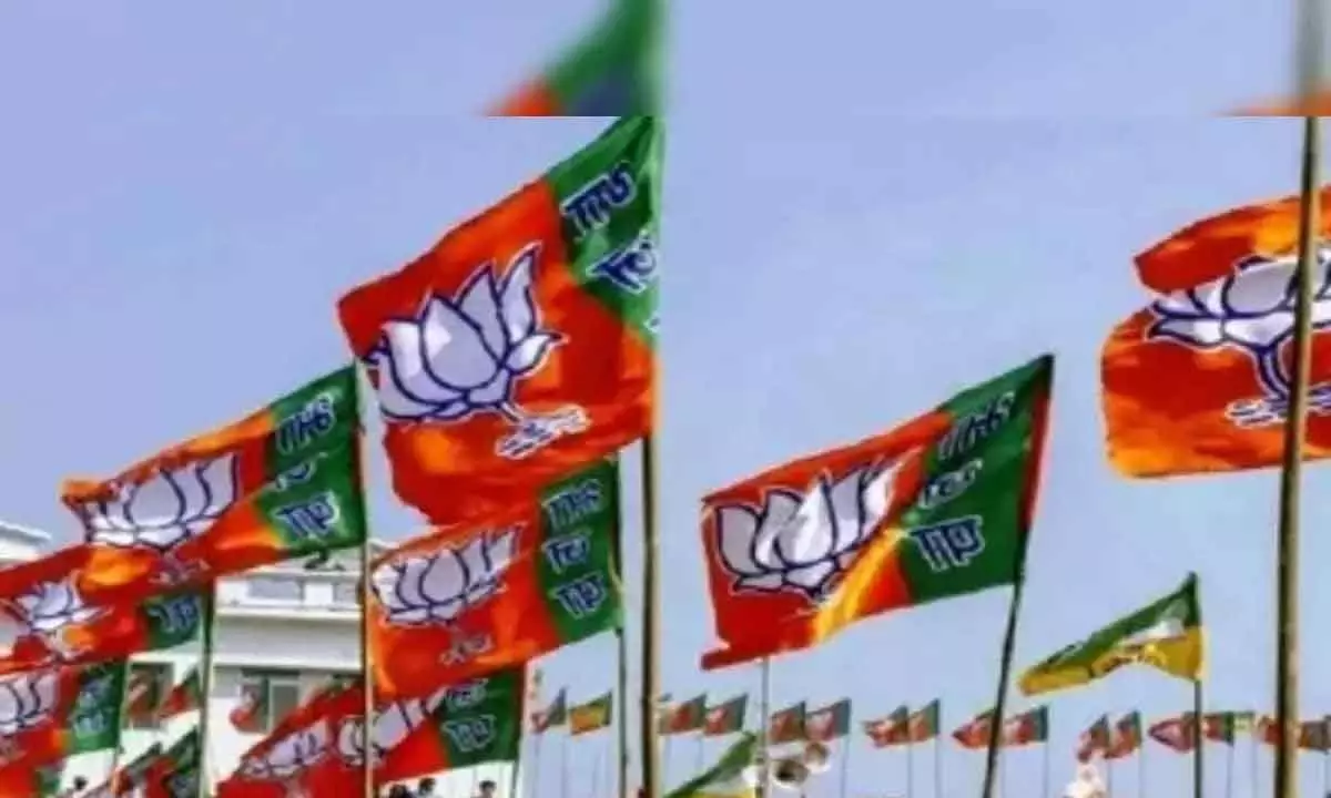 Hyderabad: BJP task force to study people’s issues