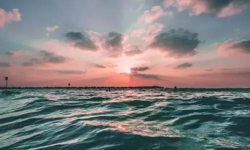 Did life evolve more than once?