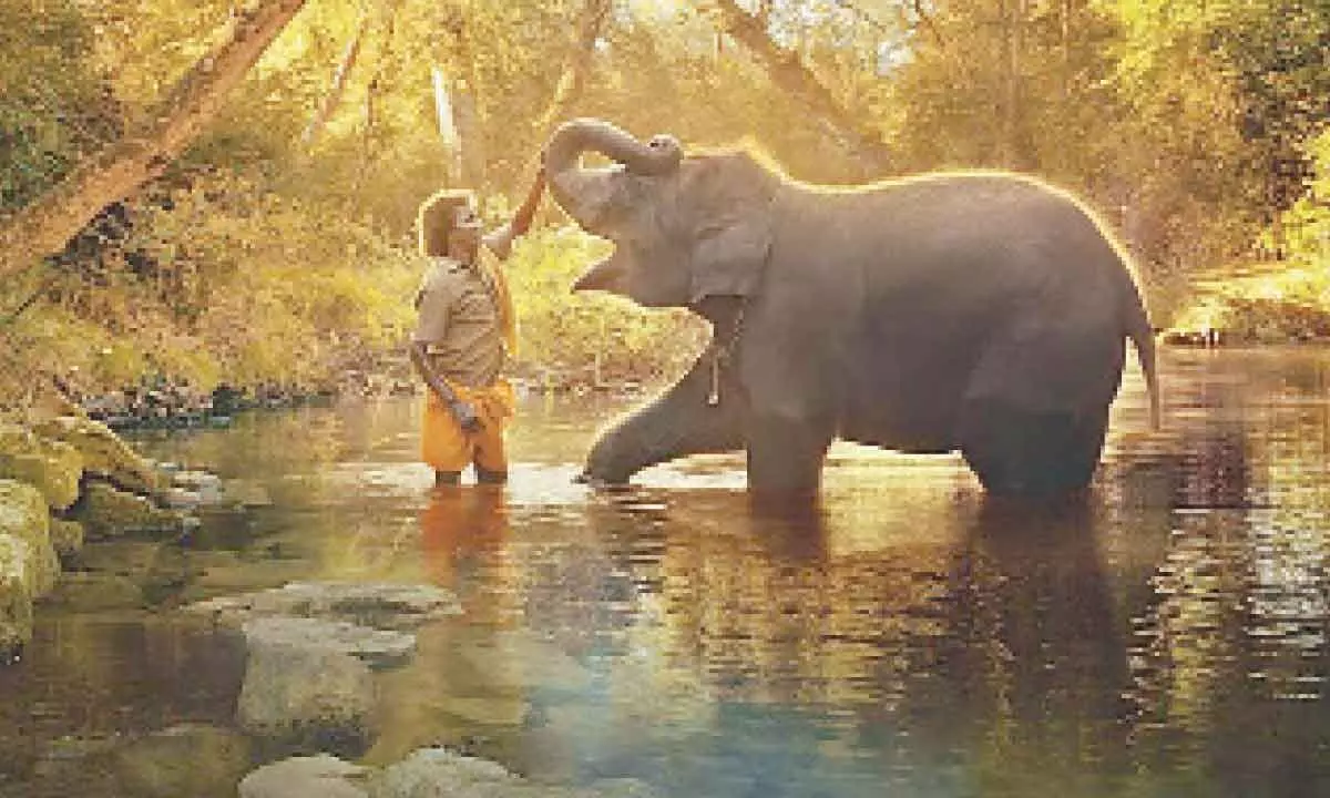 Goa Environmental Film Festival to open with ‘The Elephant Whisperers’