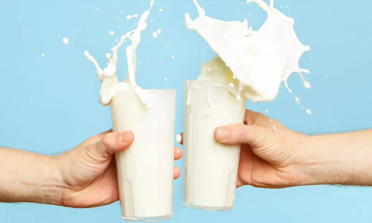 World Milk Day: Milk is secret of energy
