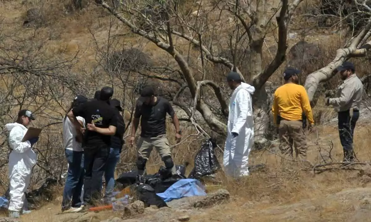 45 Bags Containing Human Remains Were Discovered In Mexico Ravine