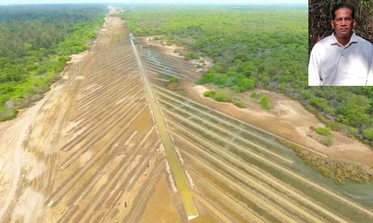 Amalapuram: Fishbone model channels for mangrove expansion