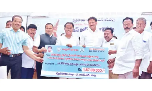 Rs 1.67 cr input subsidy provided to 1,369 farmers in Kadapa