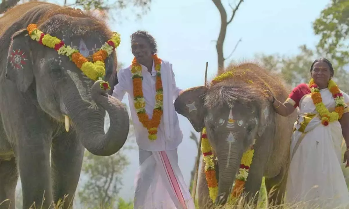 Goa Environmental Film Festival kicks off with ‘The Elephant Whisperers’