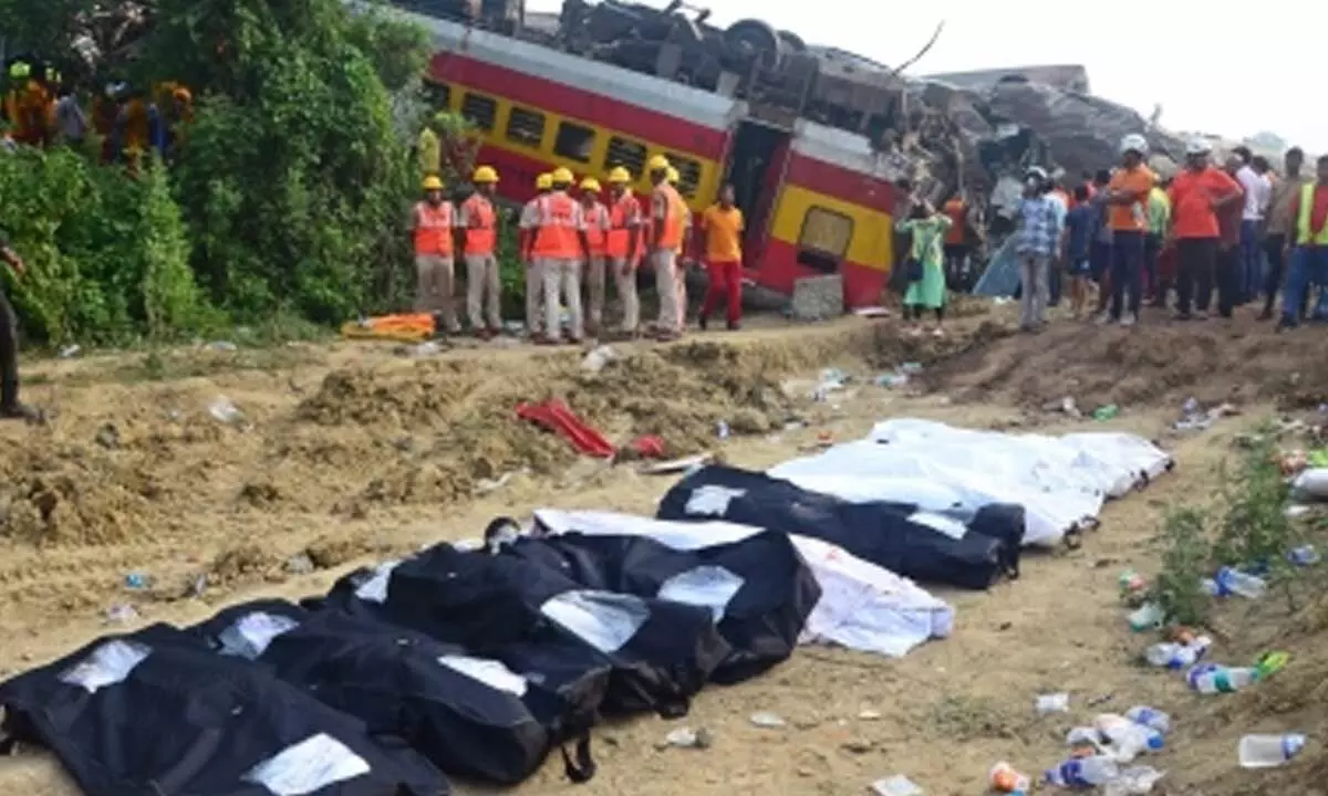 Odisha train tragedy: Death toll from Bengal rises to 81 as more bodies identified