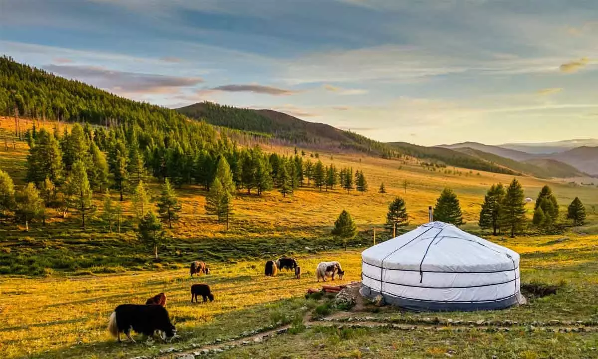 Mongolia has welcomed over 216,000 foreign tourists in 2023