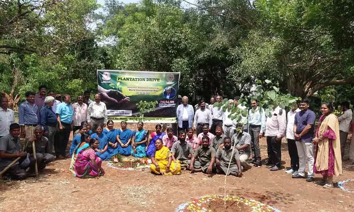 The plantation drive was organised by the Department of Horticulture of the University.