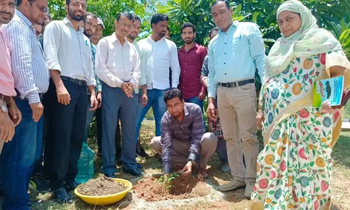 MANUU observes World Environment Day