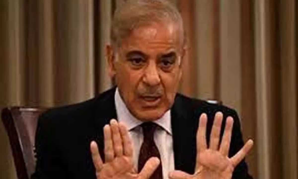 Shehbaz rejects PTIs claims on rights abuses